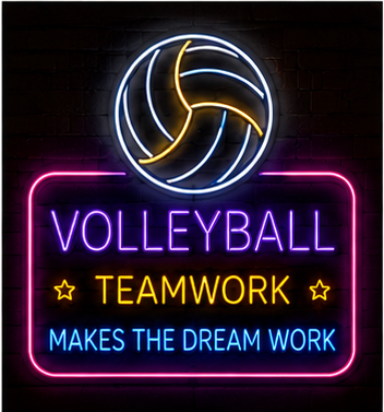 VollyBall